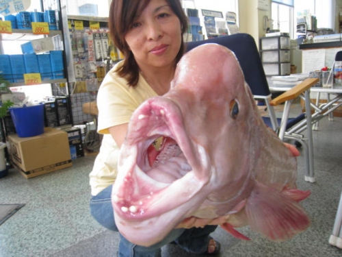 私は誰でしょう？