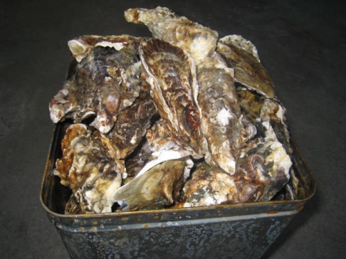 牛窓特産