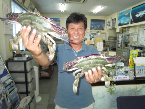 ガザミ