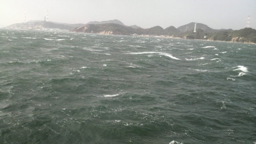 冬の海