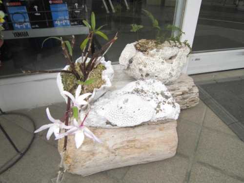 開花