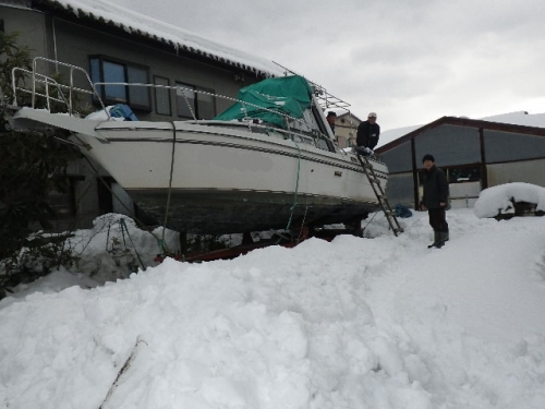 雪中査定