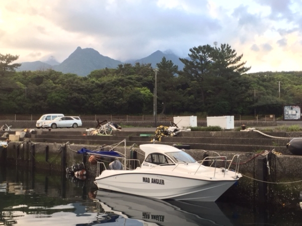 『屋久島からの便り』