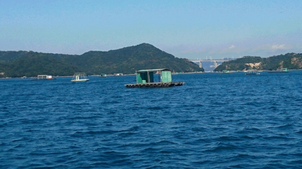 『ウチノ海』