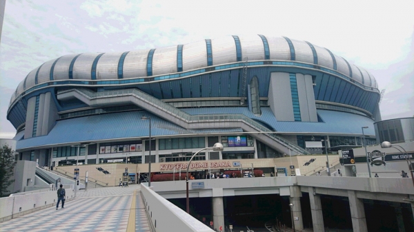 『プロ野球観戦』