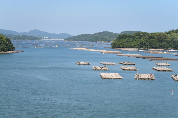『牡蠣の町虫明』