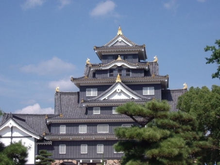 『選挙ファースト』