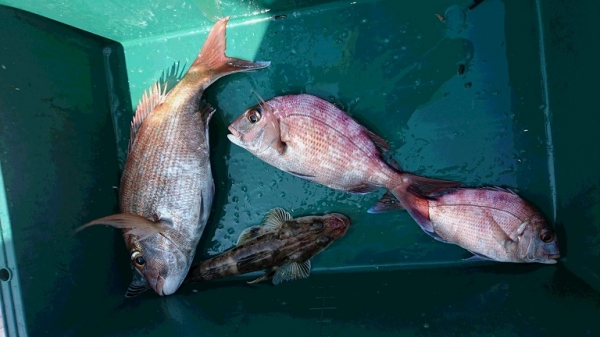 『秋の釣りシーズン』