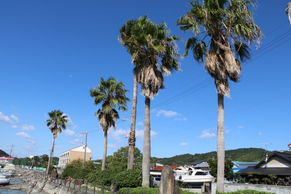 『誠に辛口ですが…』