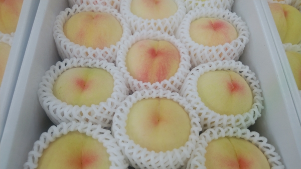 『Ｐｅａｃｈ』
