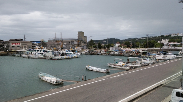 『台風10号は風台風？雨台風？』