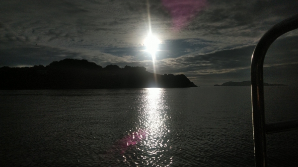 『海洋調査』