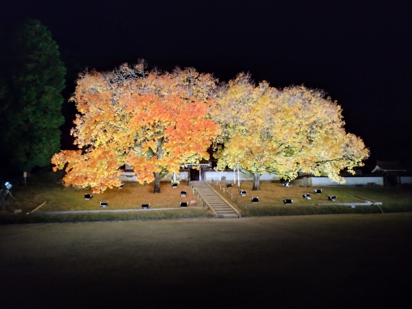 『紅葉第三段』