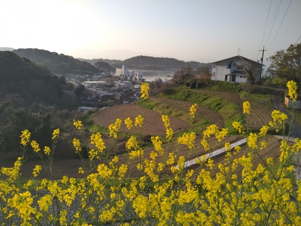 『春本番』
