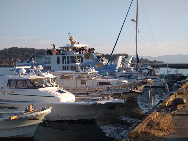 『島の研修』