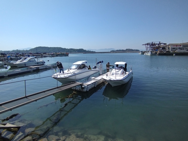 『鯛が釣れません』