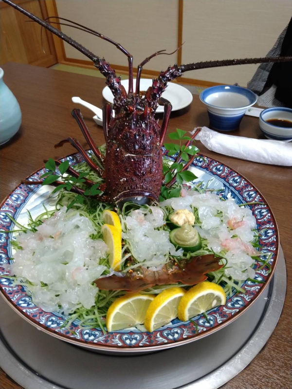 『南国土佐のはずが…』