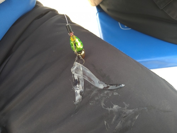 今日一の魚！