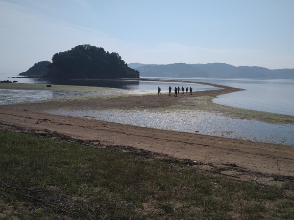 アテンド