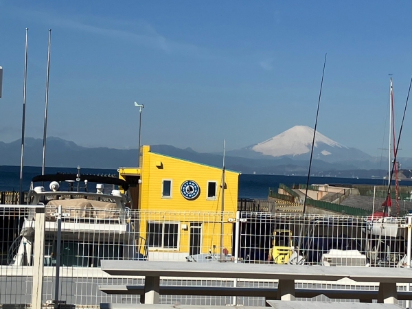 葉山マリーナ