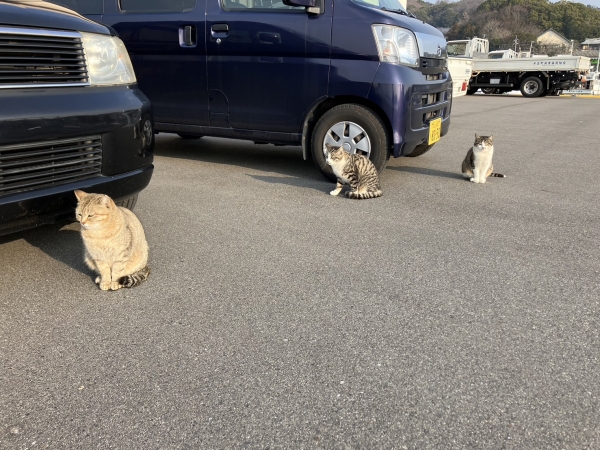 お出迎え