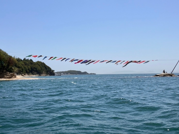 海を泳ぐ鯉のぼり