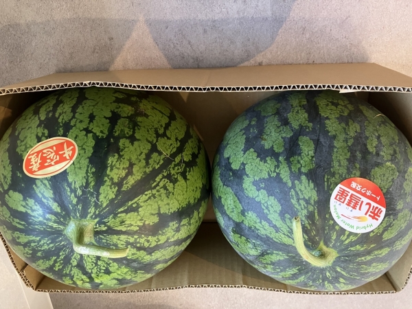 赤い彗星