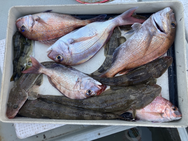 釣りシーズン到来