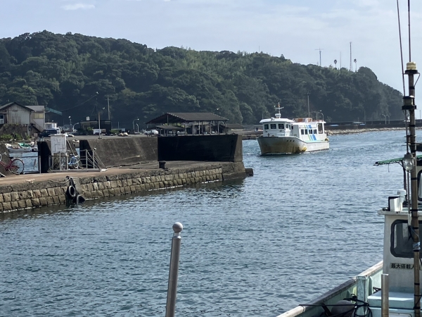 出羽島(徳島県)