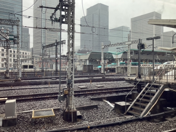 東京でみる雪はこれが最後ねと♬