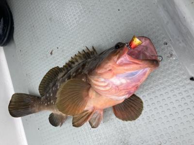 初ヒトツテンヤ