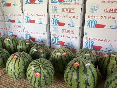 西瓜