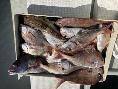 タイラバシーズン到来