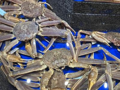 忘年会シーズン