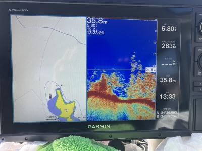 何で釣れないの？？？