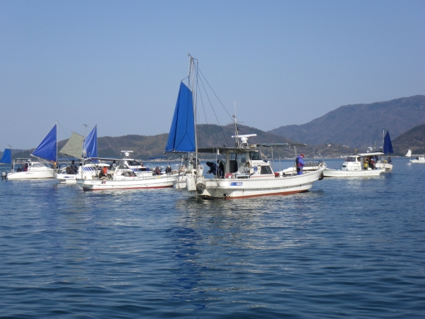 鯛釣り船団