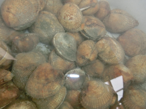 海産物屋