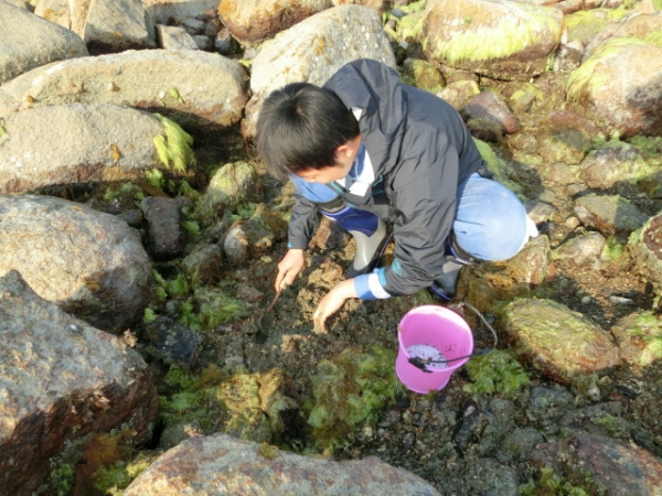 自給自足の田舎生活