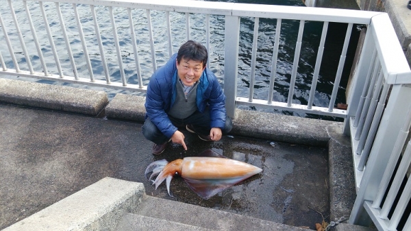 犬も歩けばイカに当たる？
