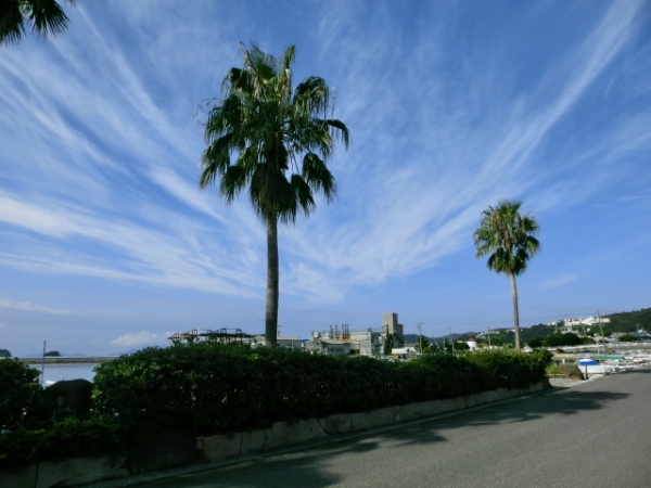 2014夏の終わり