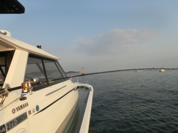２０１５初釣り