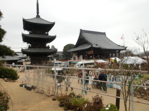 一夜明けた『西大寺観音院』