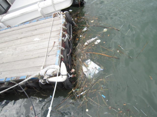 浮遊物