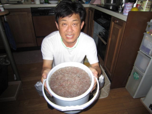自家製アミの塩辛