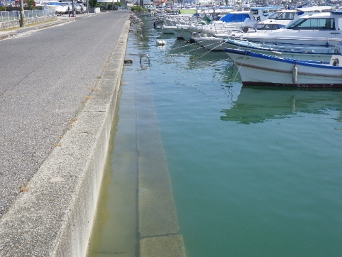 当社前のイヌバシリも浸水