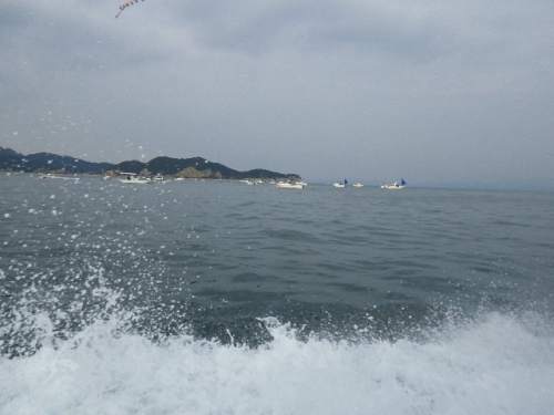 マナイタ周辺の鯛釣り船団