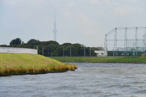 スカイツリーはここからも見えます