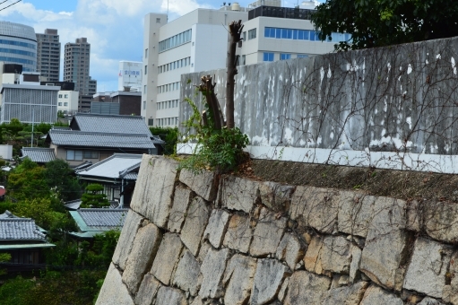 岡山の街並み