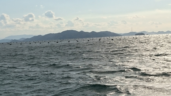 『海苔網』