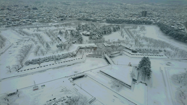 綺麗だが雪で輪郭の見えない五稜郭